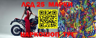 PSILOCYBIN Бугуруслан