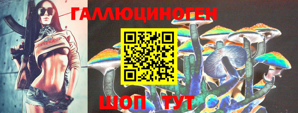 Рузаевка  Галлюциногенные грибы Psilocybe  Вход с VPN  Псилоцибиновые грибы прущие грибы 