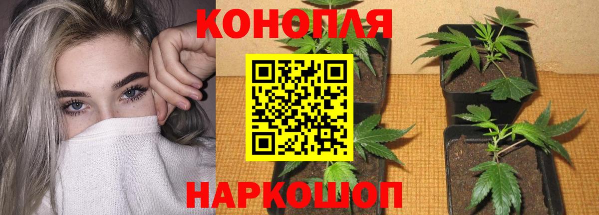 Марихуана White Widow Рузаевка